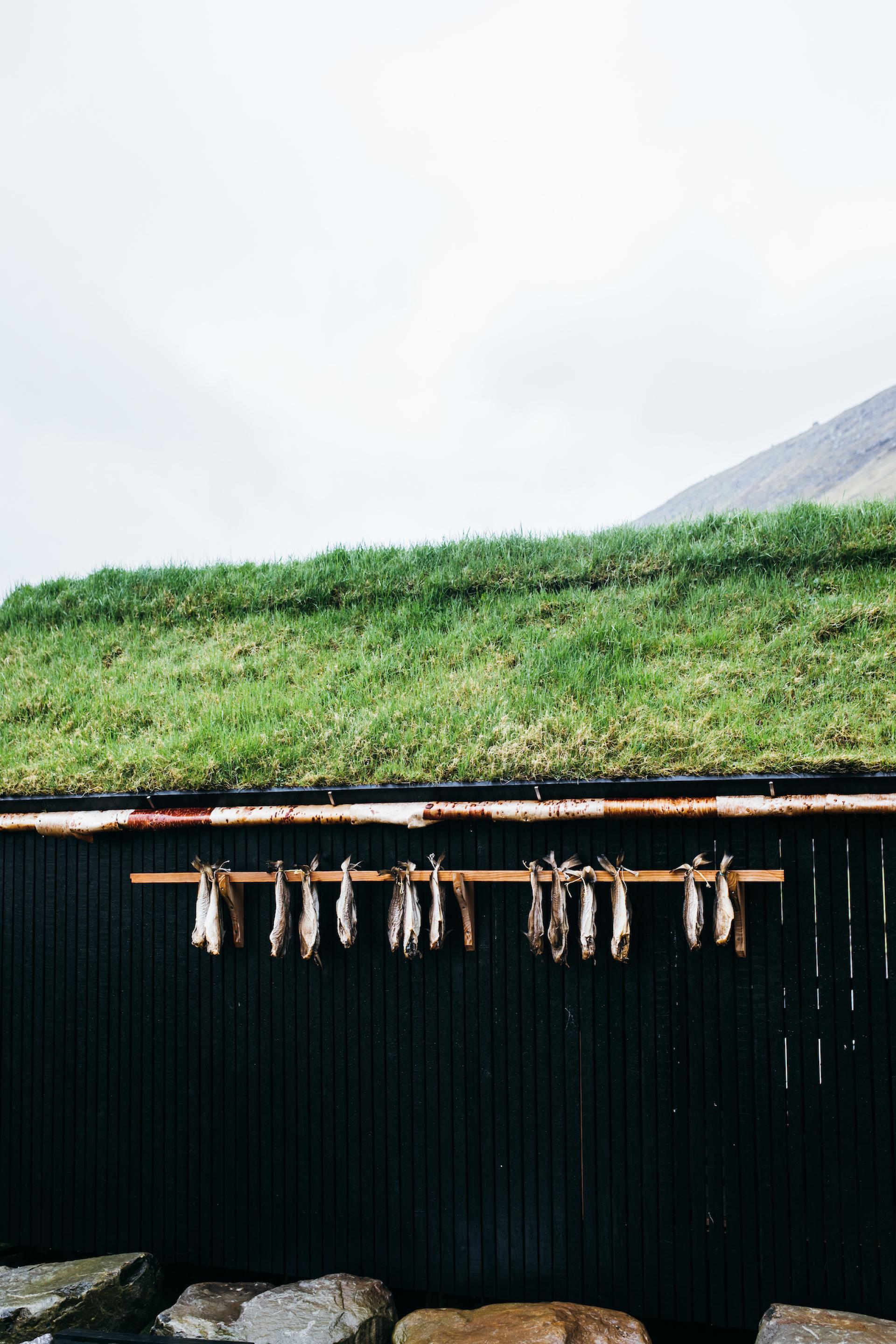 traditional hjallur in the Faroe Islands with dried fish hanging