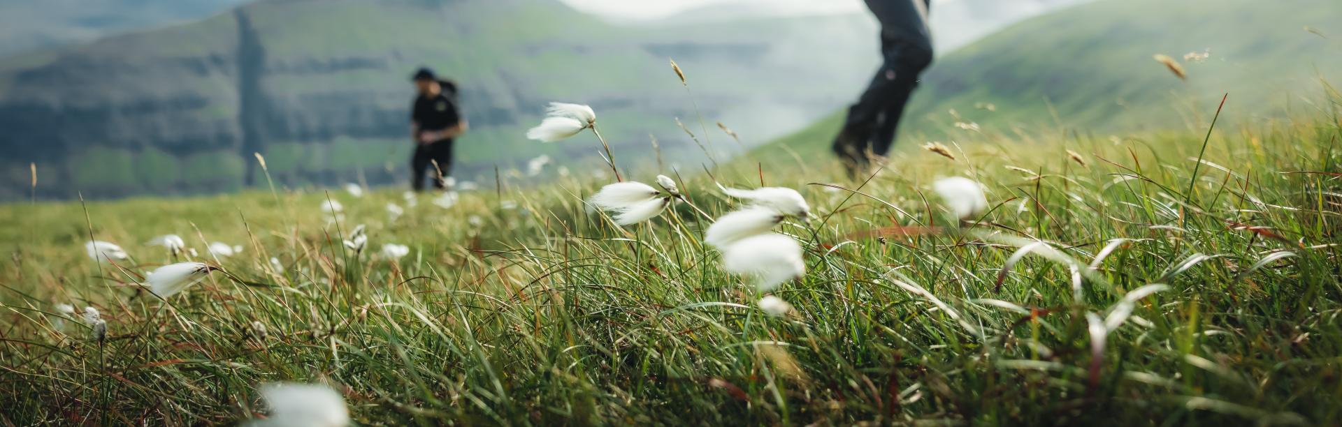 Hiking in the Faroe Islands, nature and beautiful landscapes. image by Thrainn Kolbeinsson